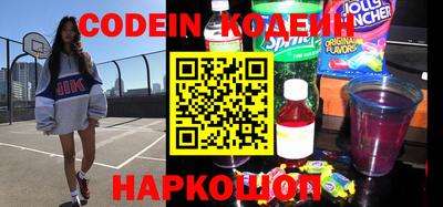 apvp Кингисепп