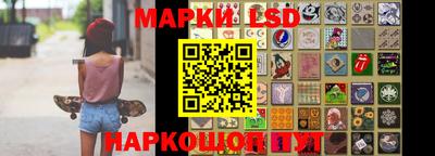 apvp Кингисепп