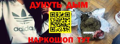 apvp Кингисепп