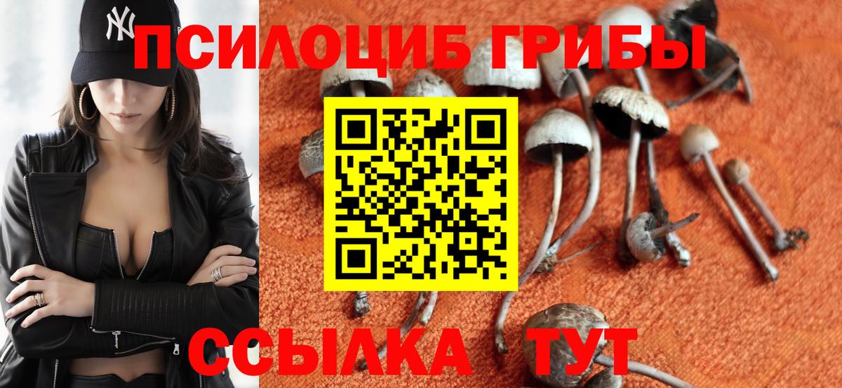 Псилоцибиновые грибы Magic Shrooms  Вход с VPN  Ярцево 